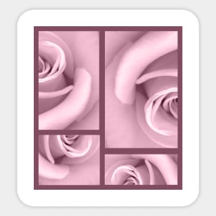 Pink Rose and Purple lines design Sticker